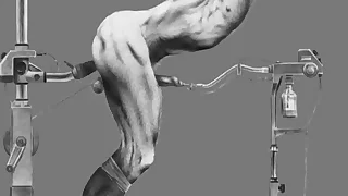 7868 gay porn videos